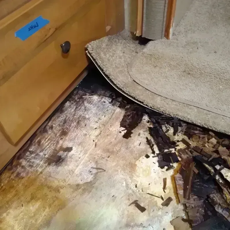 Wood Floor Water Damage in Zephyrhills, FL